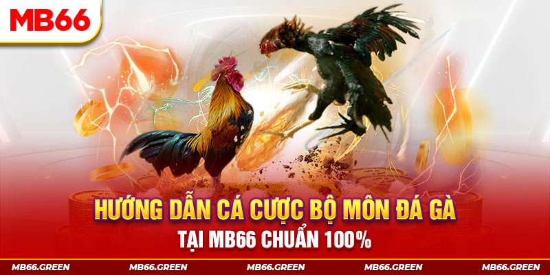 king79 kết quả xổ số miền bắc ngày hôm nay