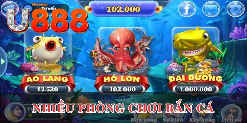king79 cá cược là gì