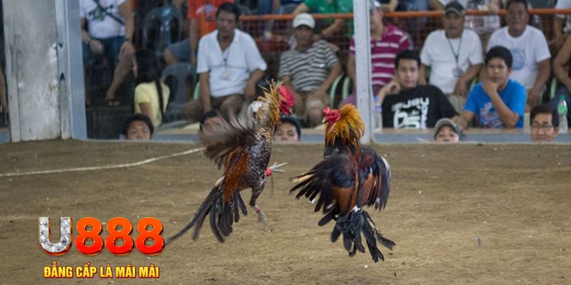 king79 đăng nhập mậu binh khuyến mãi