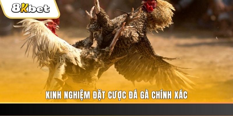 king79 xổ số thứ bảy hàng tuần