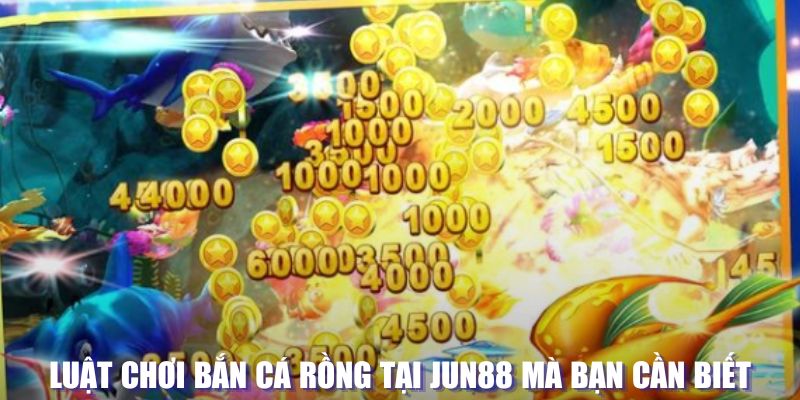 king79 xổ số đài hà nội