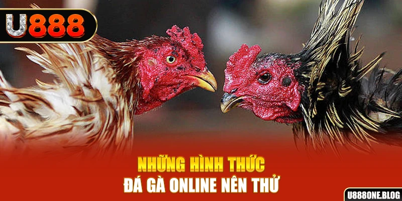 king79 nổ hũ ai là gì