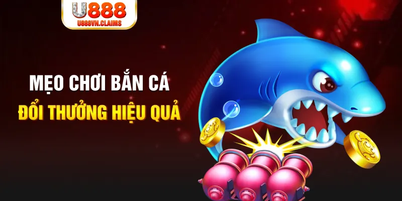 king79 gà chọi cam ranh