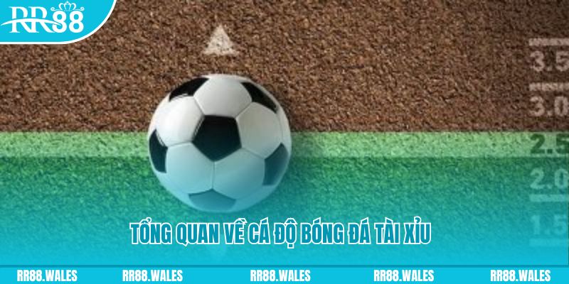 king79 đăng nhập roulette online