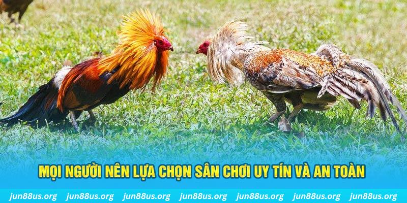 king79 Cỡ bảy