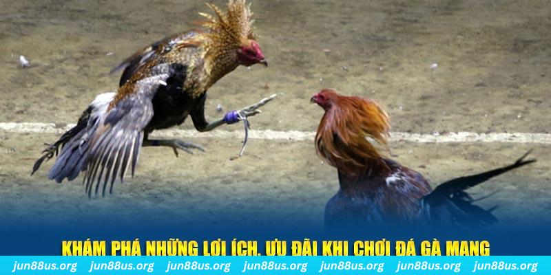 king79 đăng nhập liêng live