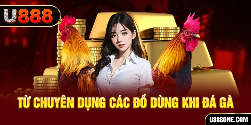 king79 đá gà trực tiếp campuchia